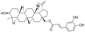 Betulin caffeateͼƬ