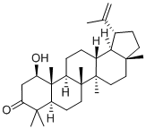 GlochidonolͼƬ