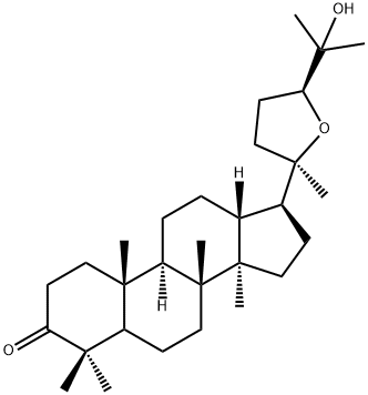 OcotilloneͼƬ