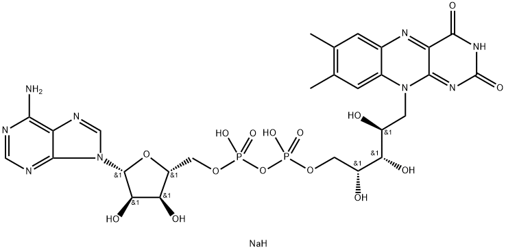 Flavin adenine dinucleotide disodium(FAD disodium)ͼƬ