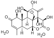 EURYCOMANONEͼƬ