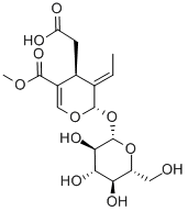 Oleoside 11-methyl esterͼƬ