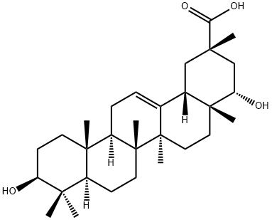 Triptotriterpenic acid AͼƬ