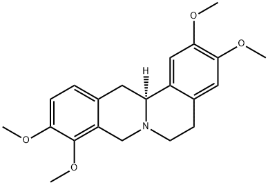 L-TetrahydropalmatineͼƬ