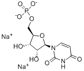 5'-UMP disodium salt图片