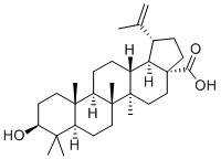 3-Epibetulinic acidͼƬ