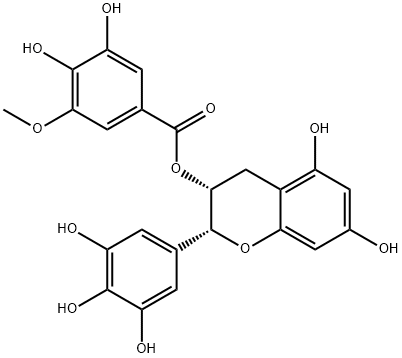 (-)-EGCG-3''-O-MeͼƬ