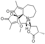 ProtostemotinineͼƬ