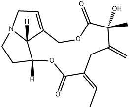 SeneciphyllineͼƬ