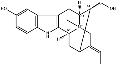 SpegatrineͼƬ