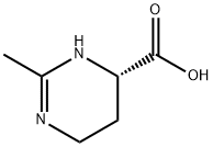 EctoineͼƬ