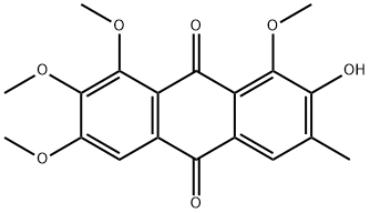 ChrysoobtusinͼƬ