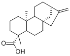 Kaurenoic acidͼƬ