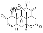 AilanthoneͼƬ