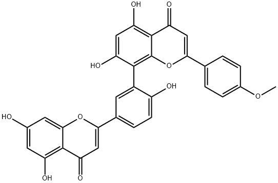 Podocarpusflavone AͼƬ