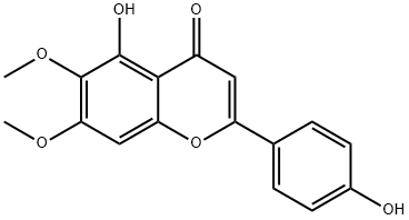 CirsimaritinͼƬ