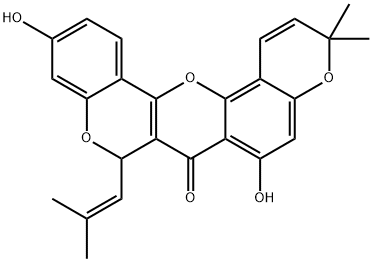 CyclomorusinͼƬ