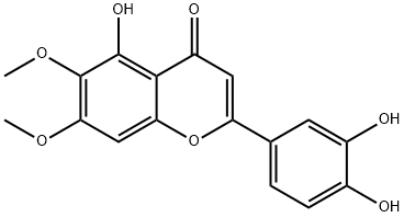 CirsiliolͼƬ