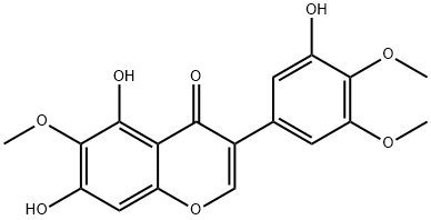 IrigeninͼƬ