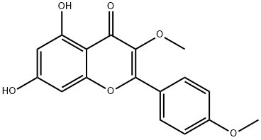 ErmaninͼƬ