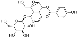 CatalposideͼƬ