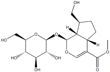 Adoxoside图片