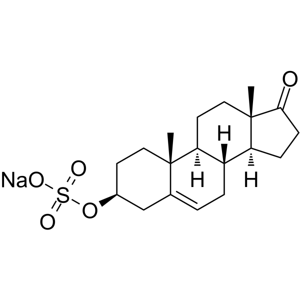 Dehydroepiandrosterone sulfate sodium saltͼƬ