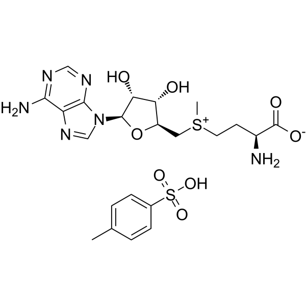 S-Adenosyl-L-methionine tosylateͼƬ