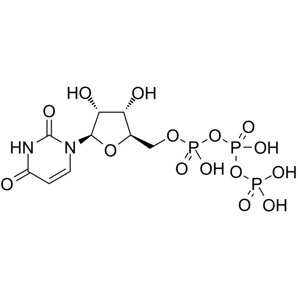 Uridine triphosphate图片