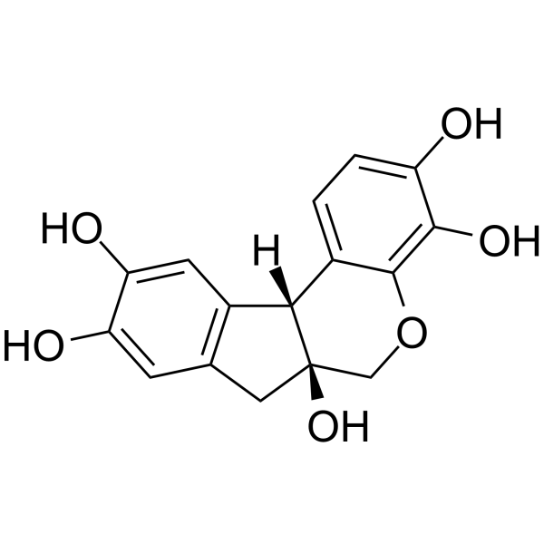 HematoxylinͼƬ