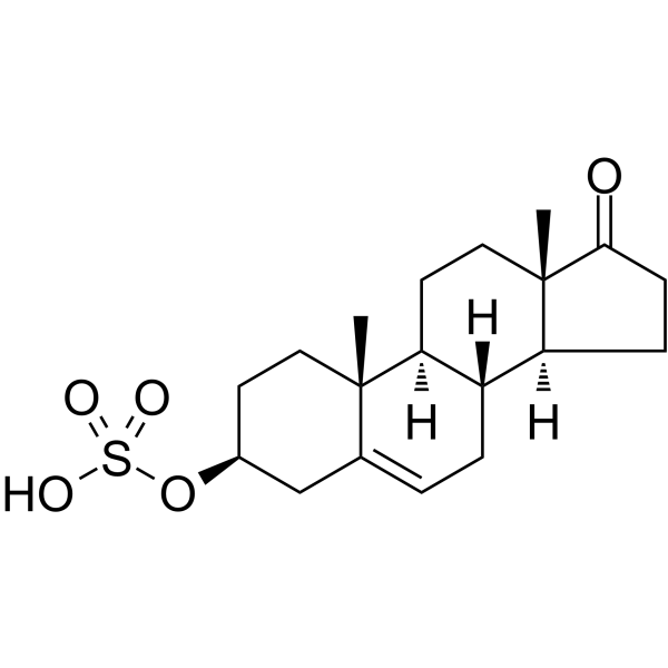 Dehydroepiandrosterone sulfateͼƬ