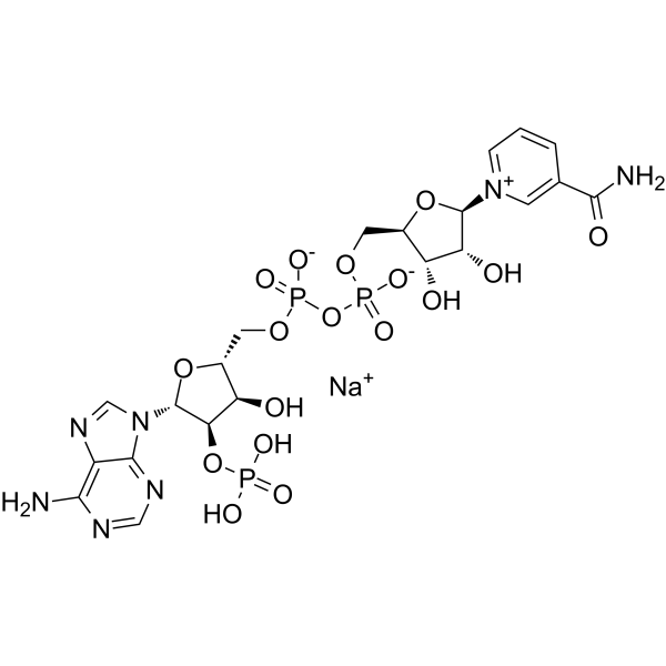 NADP sodium salt图片