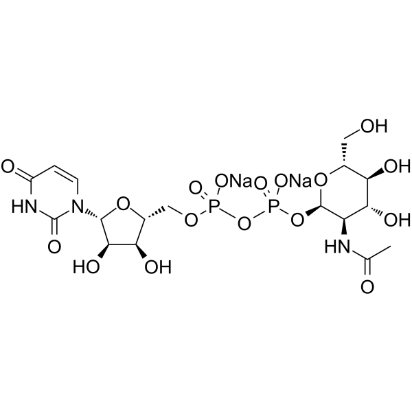 UDP-GlcNAc Disodium SaltͼƬ