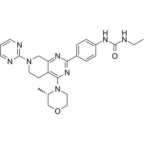 mTOR inhibitor-3ͼƬ