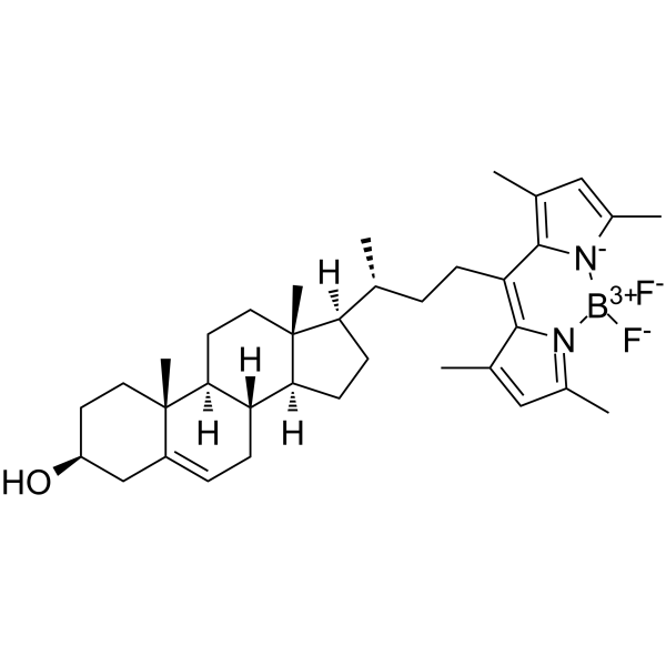 BODIPY-CholesterolͼƬ