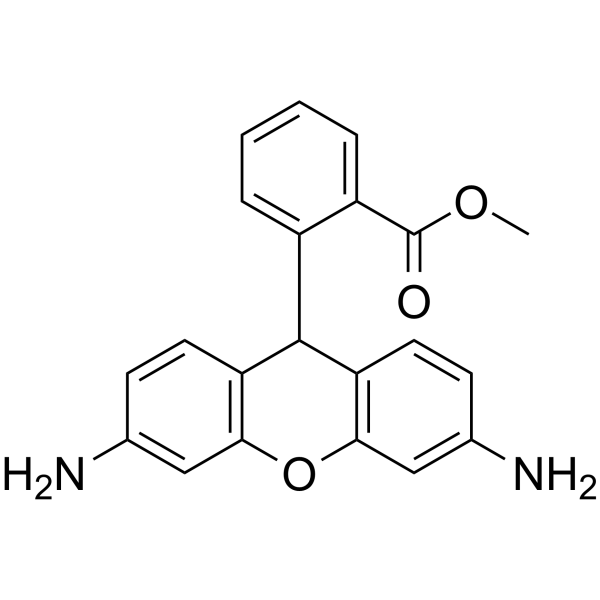 Dihydrorhodamine 123ͼƬ