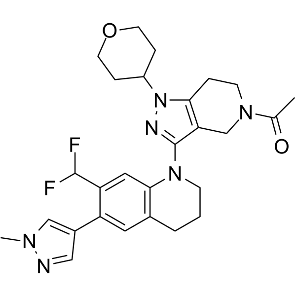 GNE-049ͼƬ