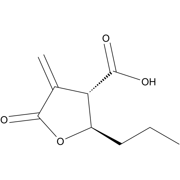 Butyrolactone 3图片