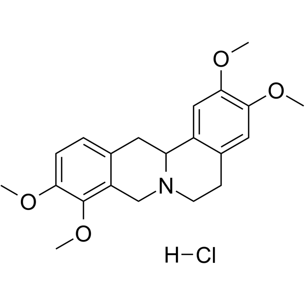 Tetrahydropalmatine hydrochlorideͼƬ