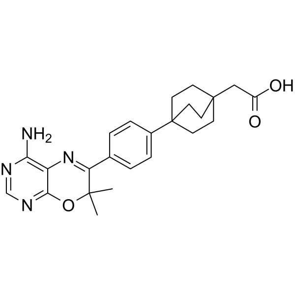 DGAT-1 inhibitor 2ͼƬ