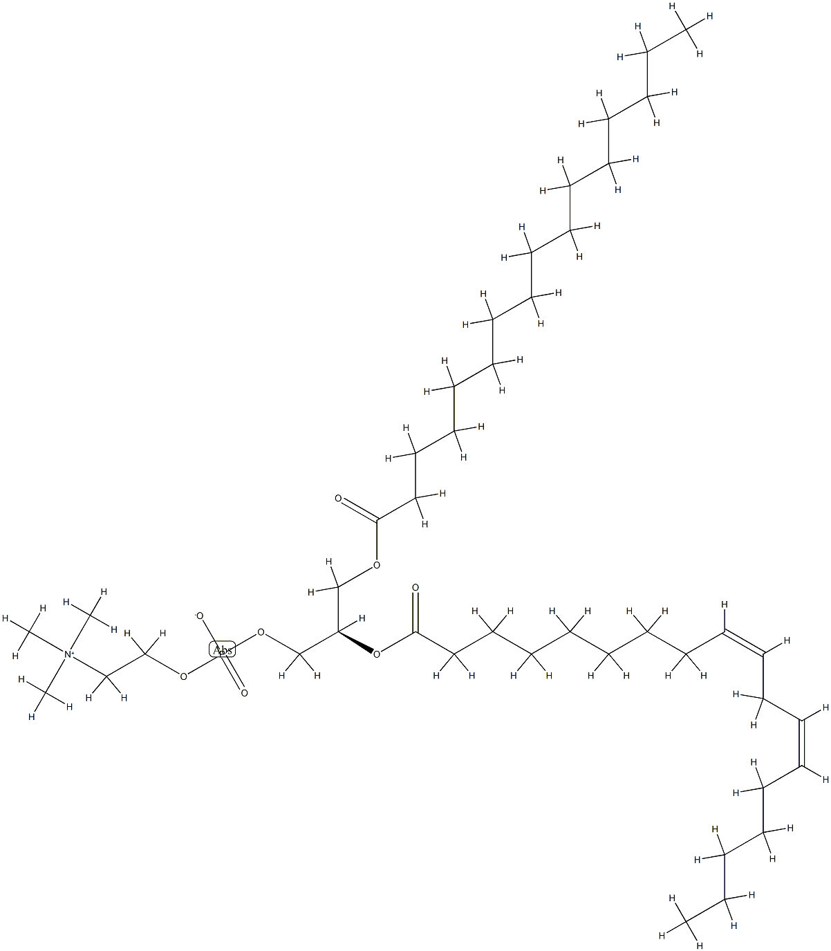 Phosphatidylcholines,soya图片