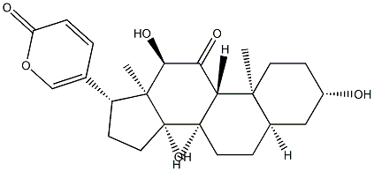 PseudobufarenoginͼƬ