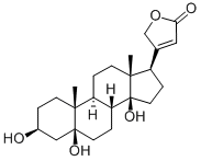 PeriplogeninͼƬ