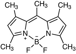 BODIPY 493/503ͼƬ