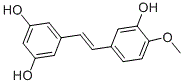 RhapontigeninͼƬ