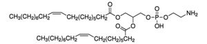 1,2-Dioleoyl-sn-glycero-3-phosphoethanolamine(DOPE)ͼƬ