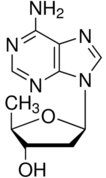 2',5'-Dideoxyadenosine图片