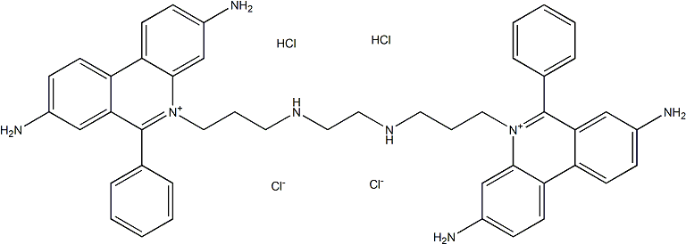 Ethidium Homodimer 1ͼƬ