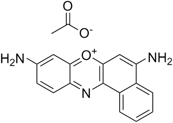 Cresyl Violet acetateͼƬ