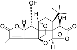 Ginkgolide KͼƬ